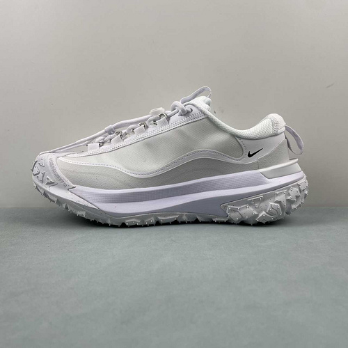 Nike ACG Mountain Fly 2 Low  FZ3311-100 36-46
